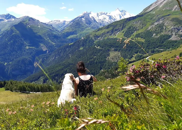 Appartement Ebner Casa *